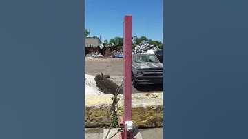 Death of a Chevy S10 #chevrolet #s10 #scrapyard #crushed