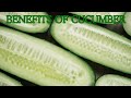 Benefits of cucumber shorts