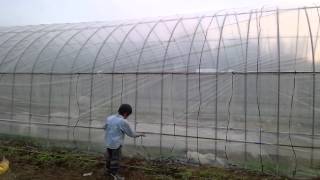 130414 ハウスバンド張り