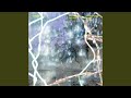 Michi-tono-Sogu