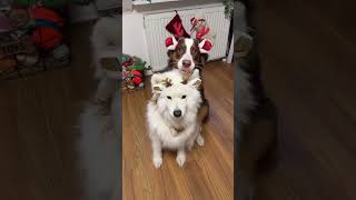 Yeni Il Gəlir Ğır