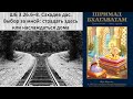 ШБ 3.26.6–8. Сахадев д. Выбор за мной: страдать здесь или наслаждаться дома