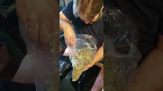🚨 “THCA Still Legal… For Now | You must see these prices”