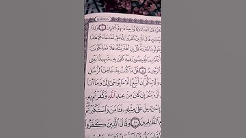 ماتيسر من سوره الاحقاف 🌿🌷