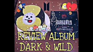 Review Album Dark Wild