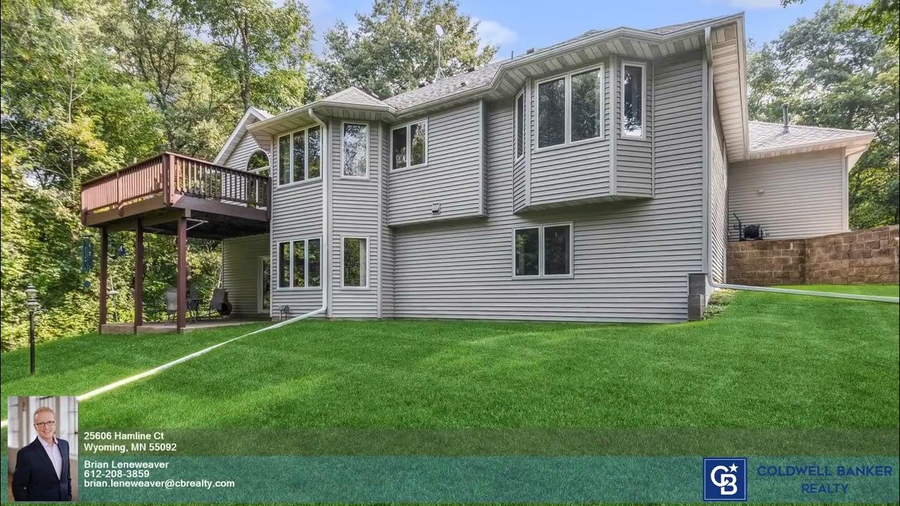 Homes for Sale 25606 Hamline Ct Brian Leneweaver YouTube