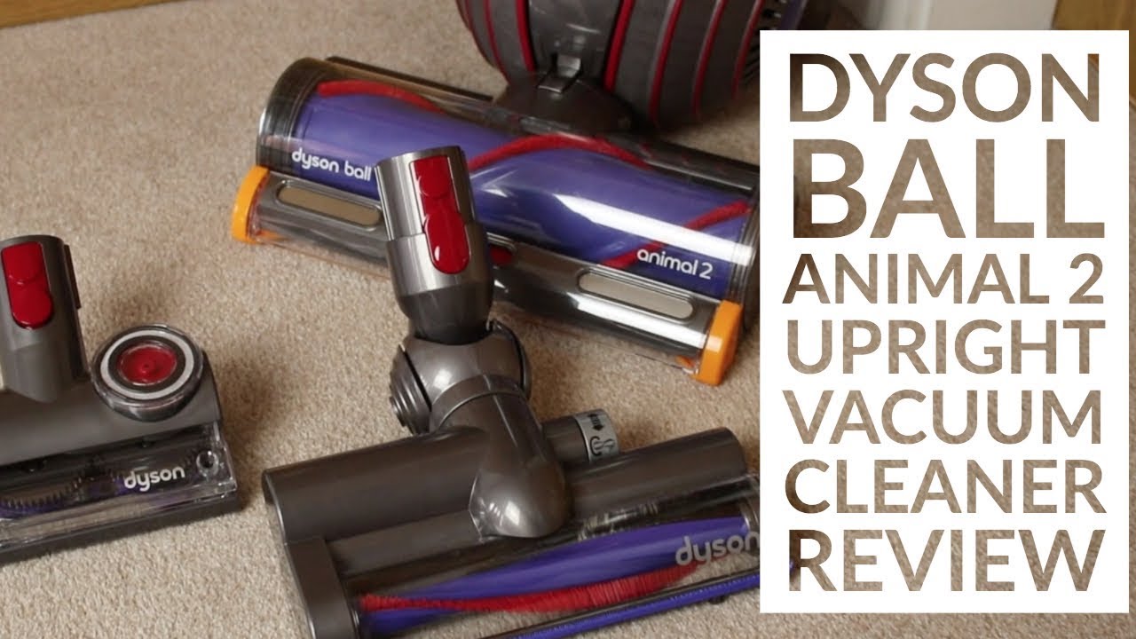 dyson animal ball 2 review