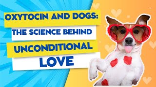 Dogs Unconditional LOVE Explained - LOVE HORMONE