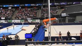 Bram Louwije Op Ringen Tijdens Meerkamp Nk 2017 Fantastic Gymnastics - Rotterdam