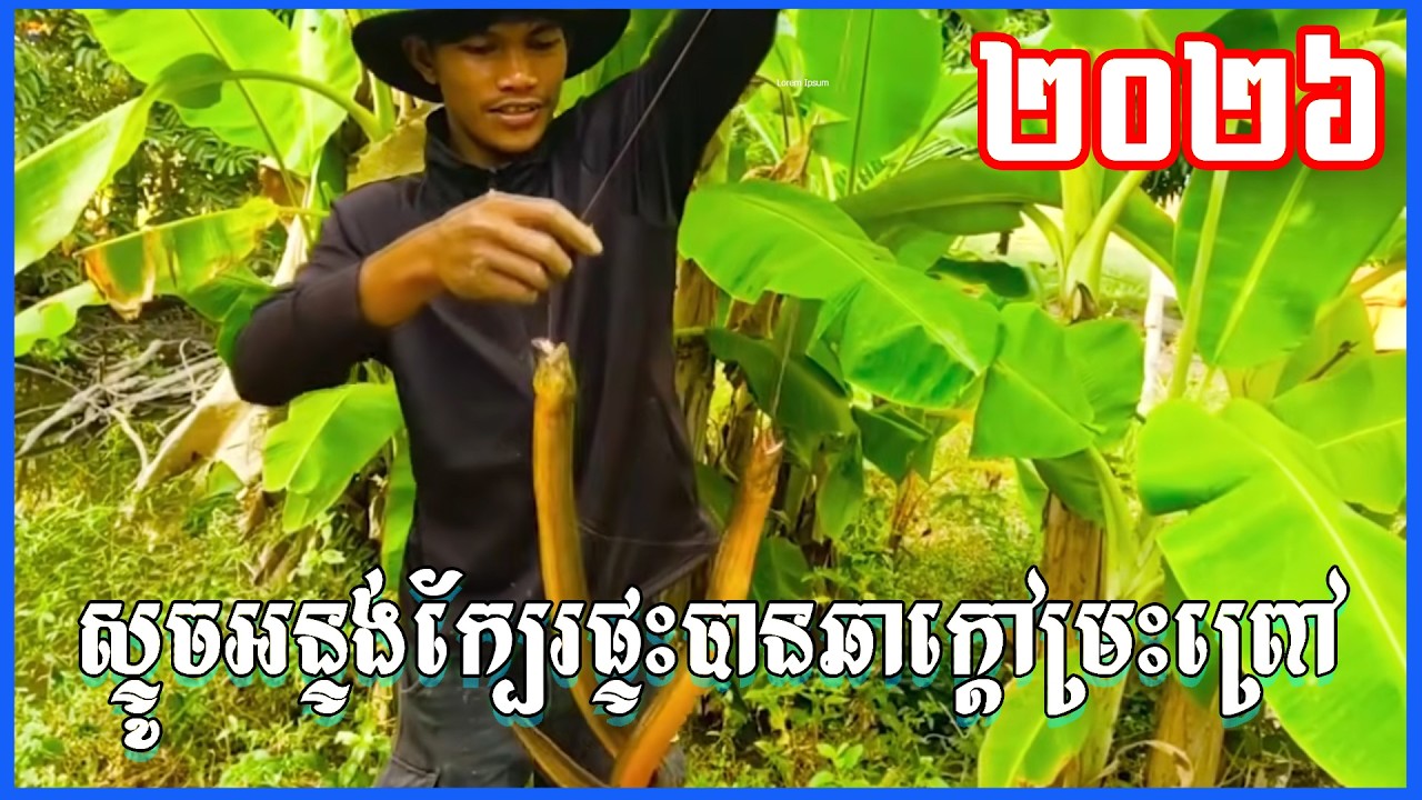 រកអន្ទុងក្បែរផ្ទះ អន្ទង់ធំៗល្អណាស់ដាក់បានក្បែរៗផ្ទះខ្ញុំ ស្ទូចអន្ទង់ បបក់អន្ទង់រៀនយកអន្ទង់