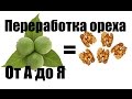 Технологический процесс переработки грецкого ореха