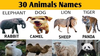 30 ANIMALS NAMES IN ENGLISH FOR KIDS WITH PICTURES