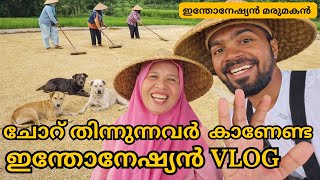 Download Lagu അരി കഴുകിയോ ? ഈ നാട്ടിലെ പലചരക്ക് കട ഇങ്ങനെയാണ് Indonesian Marumakan malayalam kerala funny vlog MP3