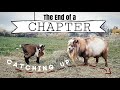 The End of a Chapter | Catching up