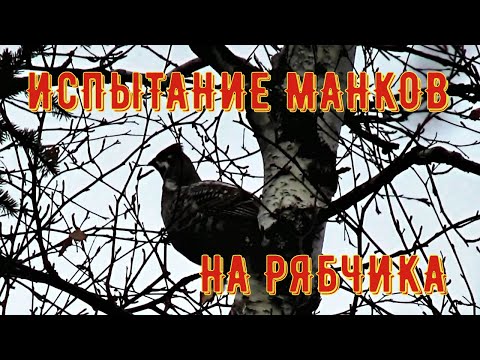 ИСПЫТАНИЕ САМОДЕЛЬНЫХ МАНКОВ НА РЯБЧИКА / ПРИМАНИТЬ РЯБЧИКА НА ДЛИНУ РУКИ