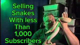 Selling snakes with less than 1000 subscribers. 