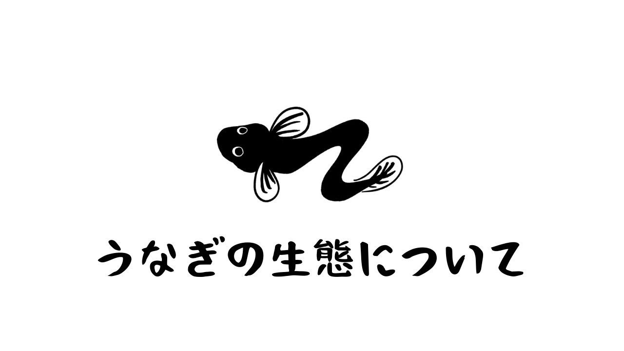 What is the ecology of eels? The mystery of life flowing from the