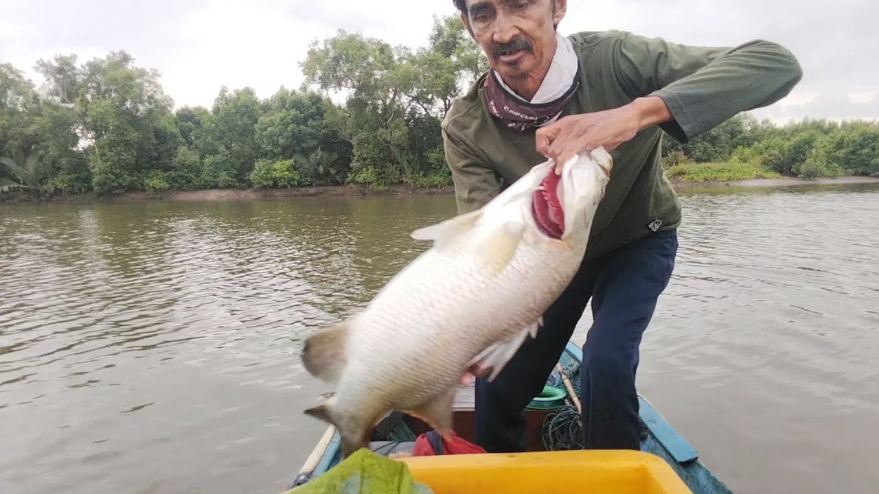 Ikan kerapu sudah lepas dari pancing langsung ditangkap sama tangan 