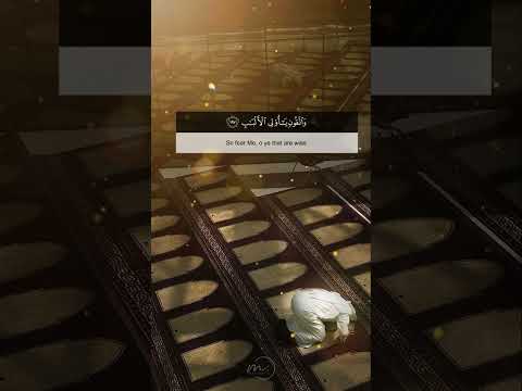 وتزودوا فان خير الزاد التقوى تلاوة رائعة هادئة محمود على البنا 