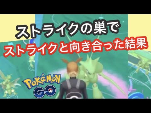 ストライクの巣で乱獲するしかない ポケモンgo Youtube