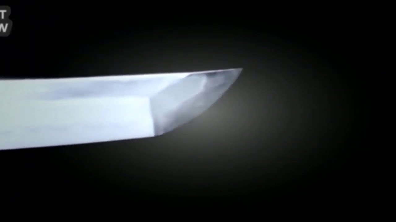 Sword Master VS Advanced Robot | | The Face Off | |