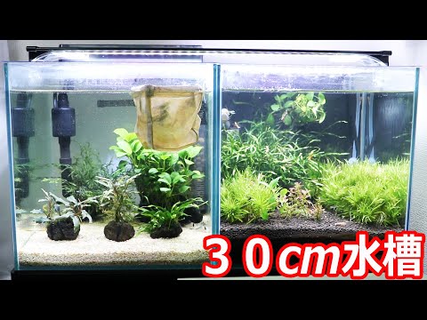アクアリウム30cmキューブ水槽を紹介 - YouTube