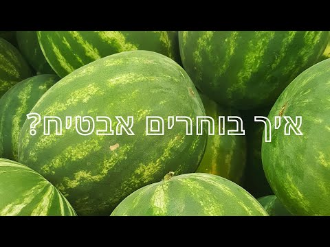 וִידֵאוֹ: מלון קציר: איך לבחור מלמלה