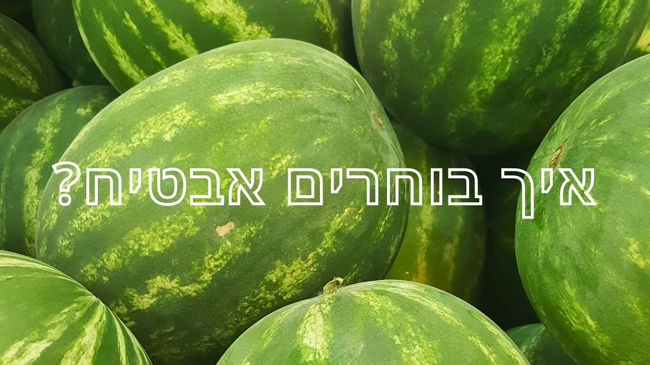 איך לבחור אבטיח? אבטיח מתוק, לא קמחי ומפוצץ בטעם! - YouTube