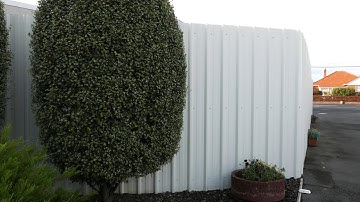 Lx100 on Zhiyun Crane M Test