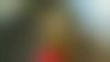 Berburu Burung Belibis di Tanah Borneo SURGANYA PEMBURU 1