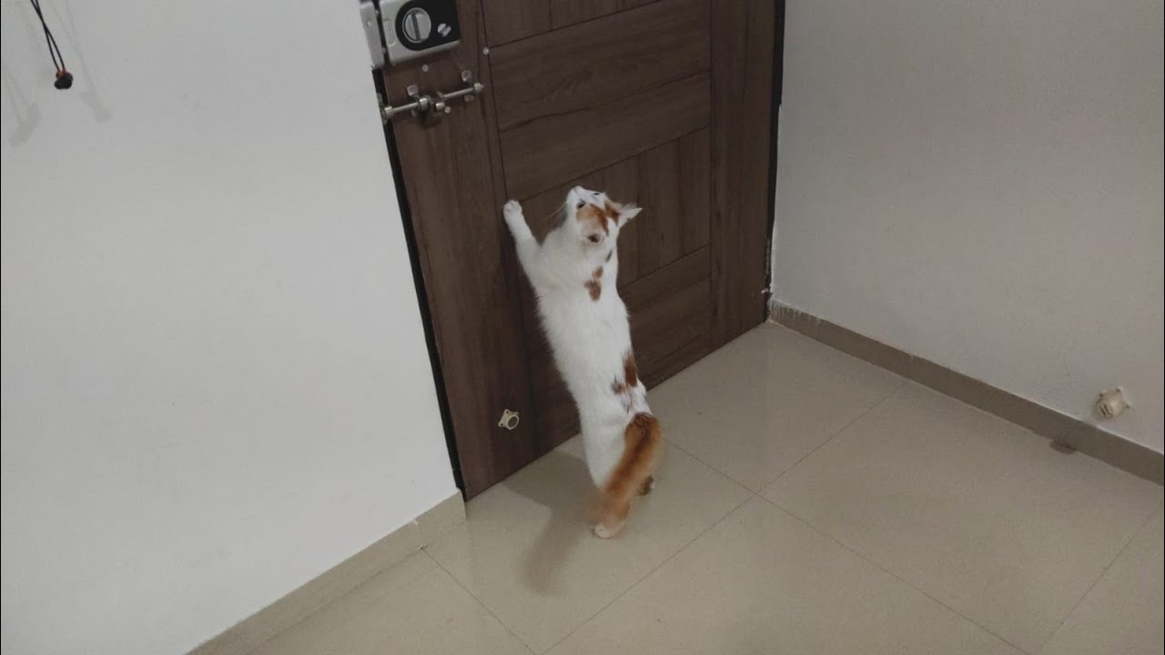 बाप म्हणून काळजी वाटते पोराची म्हणून जीव तिळ तीळ तुटतो माझा!