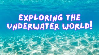 My Scuba Diving Journey: Certified, First Trips & What's Next!