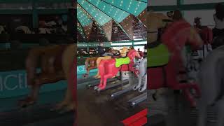 Who would love to ride Derby Racer right now? 🐎#viral #shorts