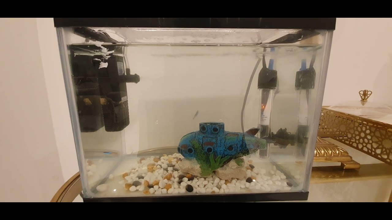Pets At Home Aqua town kid's aquarium with filter. 12 Litre YouTube