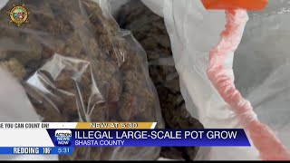 Shasta County Sheriff's Office, allied agencies conduct multi-day marijuana eradication operation