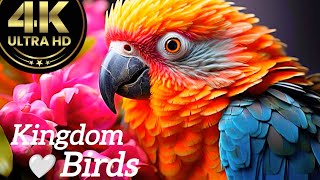 Most beautiful birds|| birds chirping || the magical world of birds