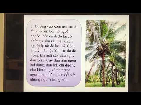 Tuần 25 - Môn tập làm văn lớp 4 - Bài Luyện tập xây dựng mở bài trong bài văn miêu tả cây cối