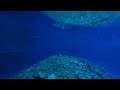 Melissani Cave, Kefalonia