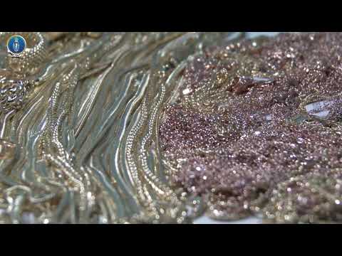 საბაჟო წესის დარღვევის ფაქტები