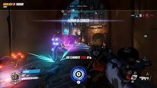 The Revenge Of The Roadhog's Bug!