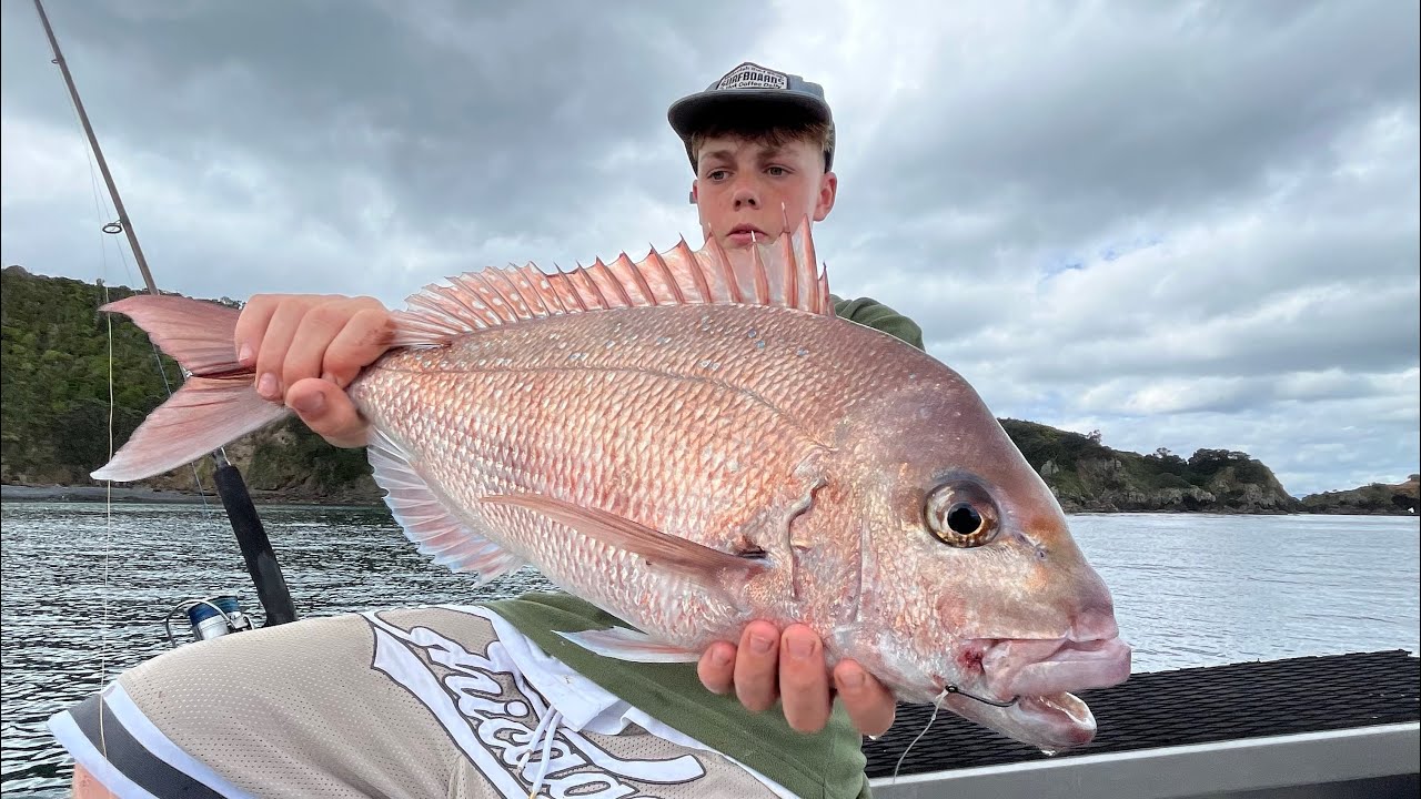 Straylining & Softbaiting | Tawharanui Point - YouTube