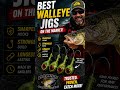 These Are the BEST Walleye Jigs on the Market! 🔥🎣