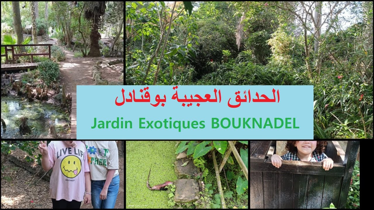 جولة بالحدائق العجيبة بوقنادل مع ذكر ثمن الدخول 😍 تستحق الزيارة