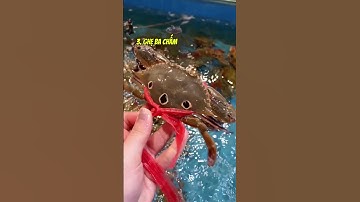 Cách phân biệt 5 loại Ghẹ phổ biến nhất  #hảisản #buffet #seafood #ghẹ #chefdzung #haisan #trending
