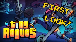 New Roguelite Tiny Rogues First Impressions! This Game Is AWESOME! - Tiny Rogues Ep. 1