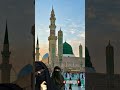 মদিনা শরীফে। #islamicshorts #islamicvideo