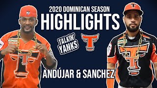 Gary Sanchez and Miguel Andujar 2020 Dominican League Highlights! Guide