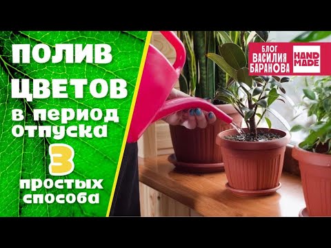 Полив цветов в период отпуска: 3 простых способа / ПОЛЕЗНЫЕ СОВЕТЫ / ЛАЙФХАКИ ДЛЯ ГОРШЕЧНЫХ РАСТЕНИЙ