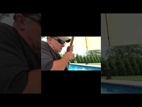 Jaws 5