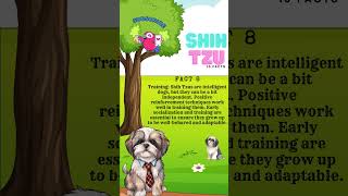 Shih Tzu Facts #facts #ShihTzu #dog 8